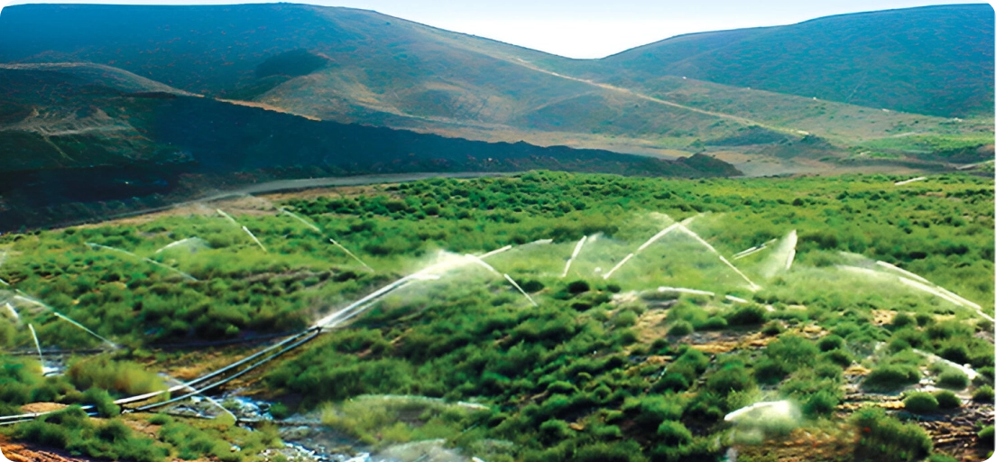 A landscape with green vegetation being watered by numerous sprinklers, set against a backdrop of hills under a clear blue sky.