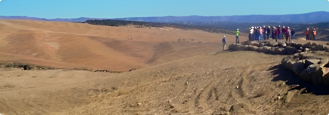 A desert landscape with sand dunes and trees.