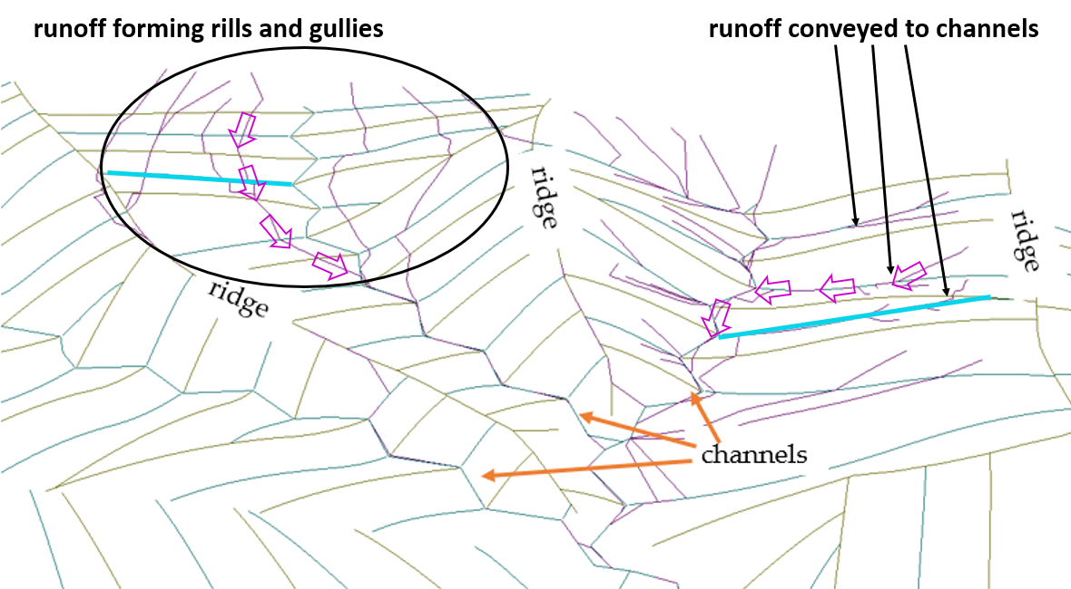 A map of the different channels and routes in a forest.