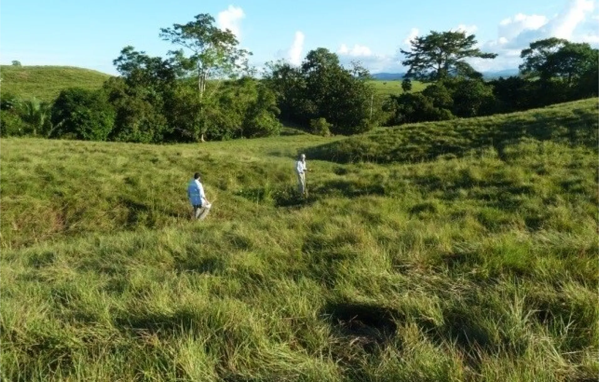 Two people in a field with trees in the background